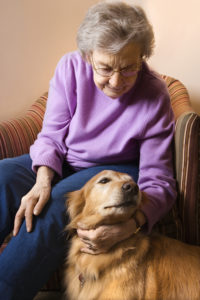 Senior Care in Bay Village OH: Why Should You Include Your Parents' Dog in a Senior Care Plan?